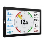 Raymarine Alpha 9" Performance Display - E70650
